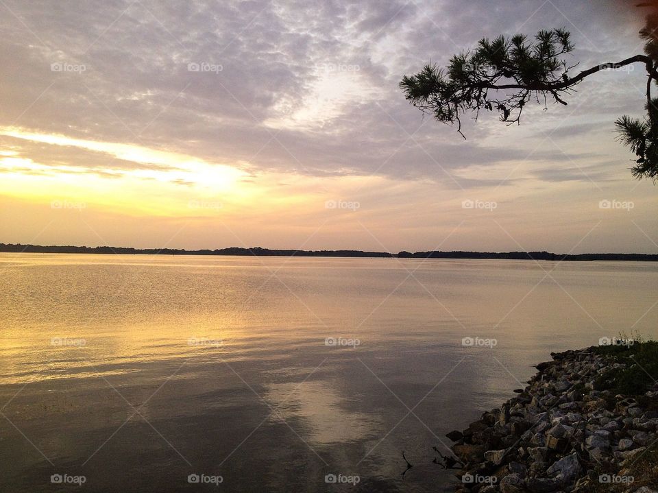 Beautiful sunset from the shoreline with tree branches & rock 