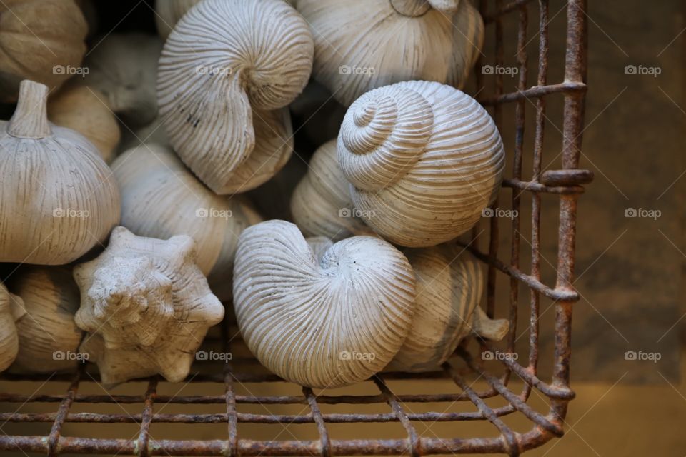 Seashells in a basket