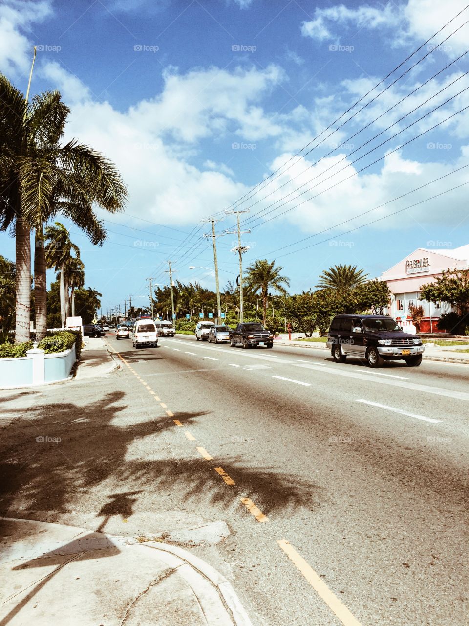 Road, Street, Travel, No Person, Palm