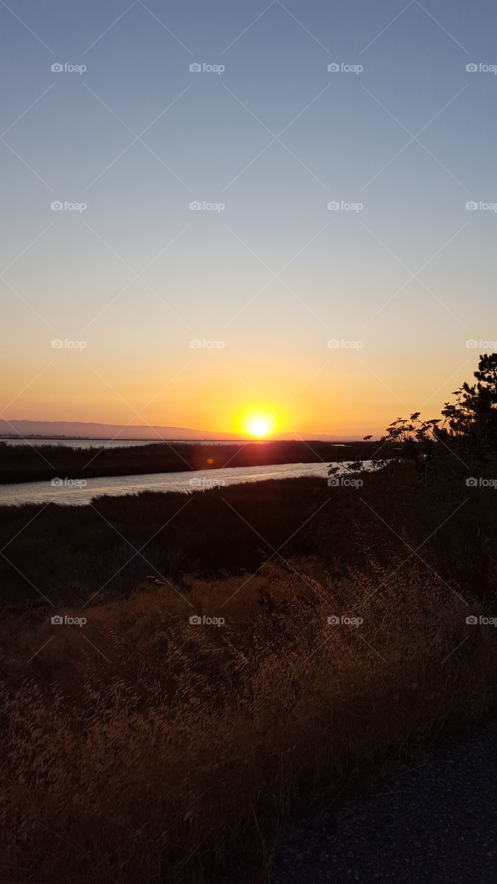 sunset at the marina