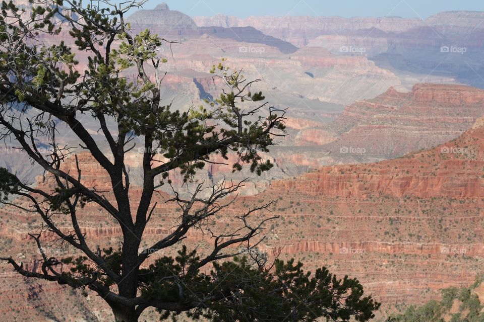 View of grand canyon, Arizona