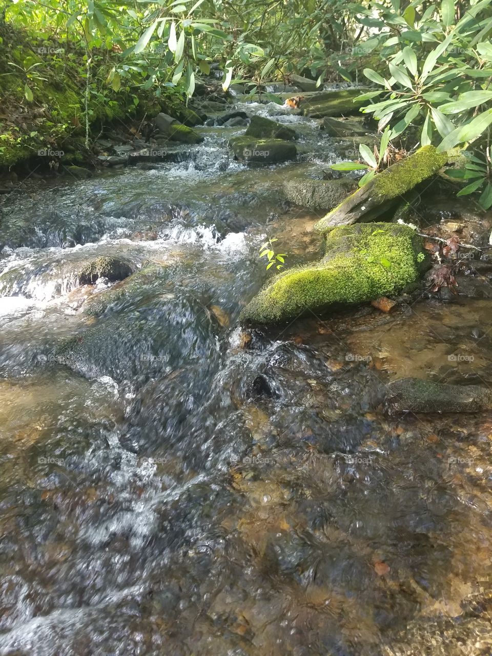 Outdoor Living with a Beautiful Flowing Creek