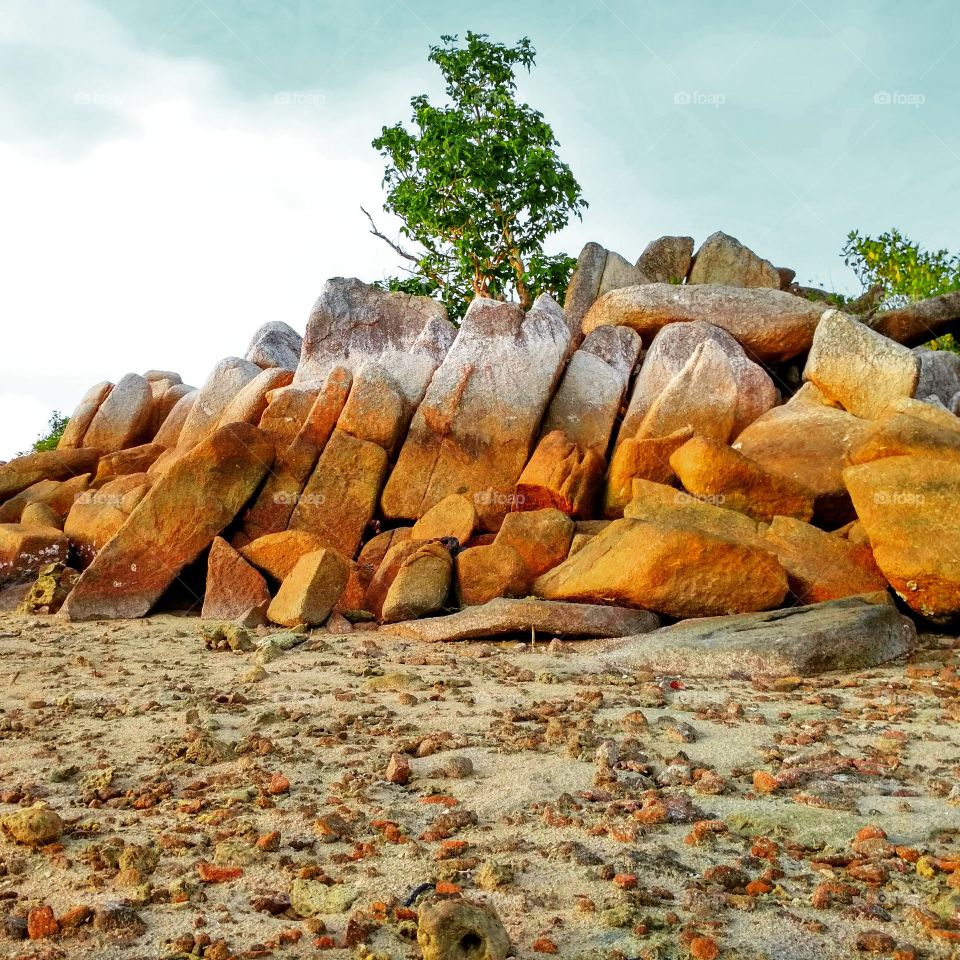 Rock formation and tree planted