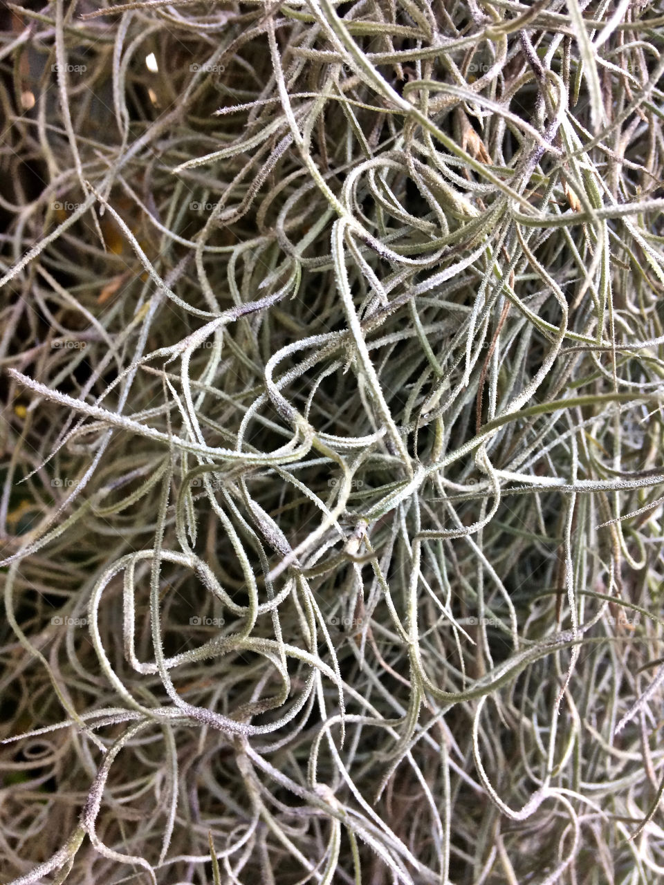 Beautiful macro shots 