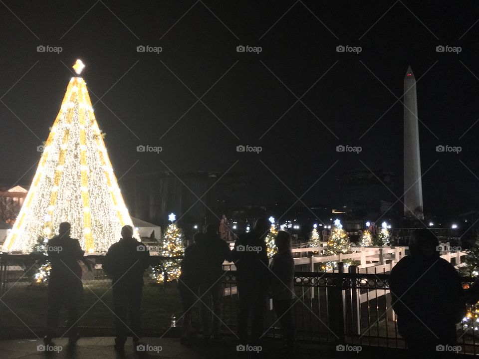 The National Christmas Tree lit up at night with the Washington Monument in the background. 