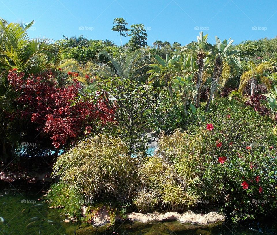 Scenic view of plants in garden near pond