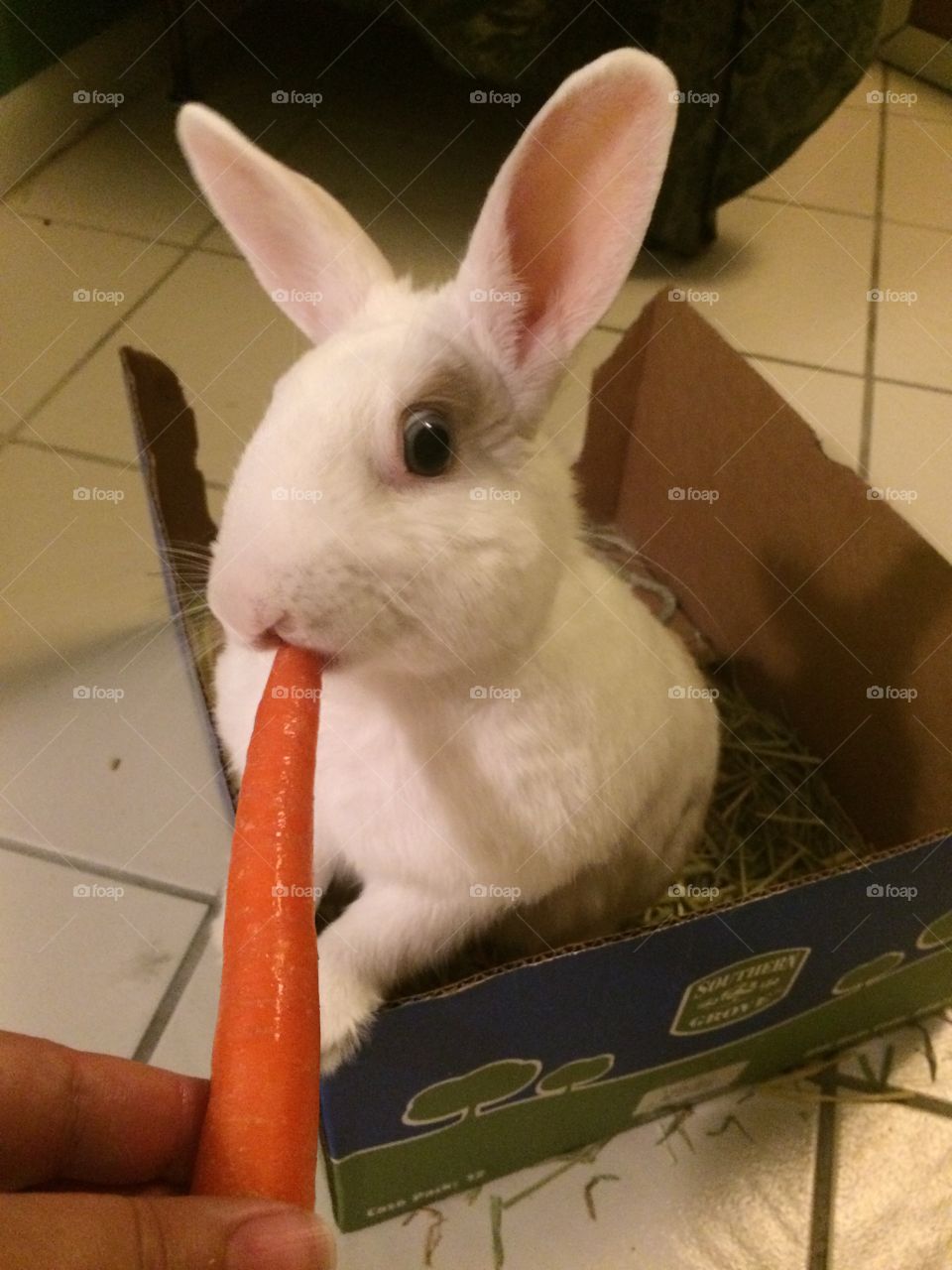 Carrots are good for my eyes
