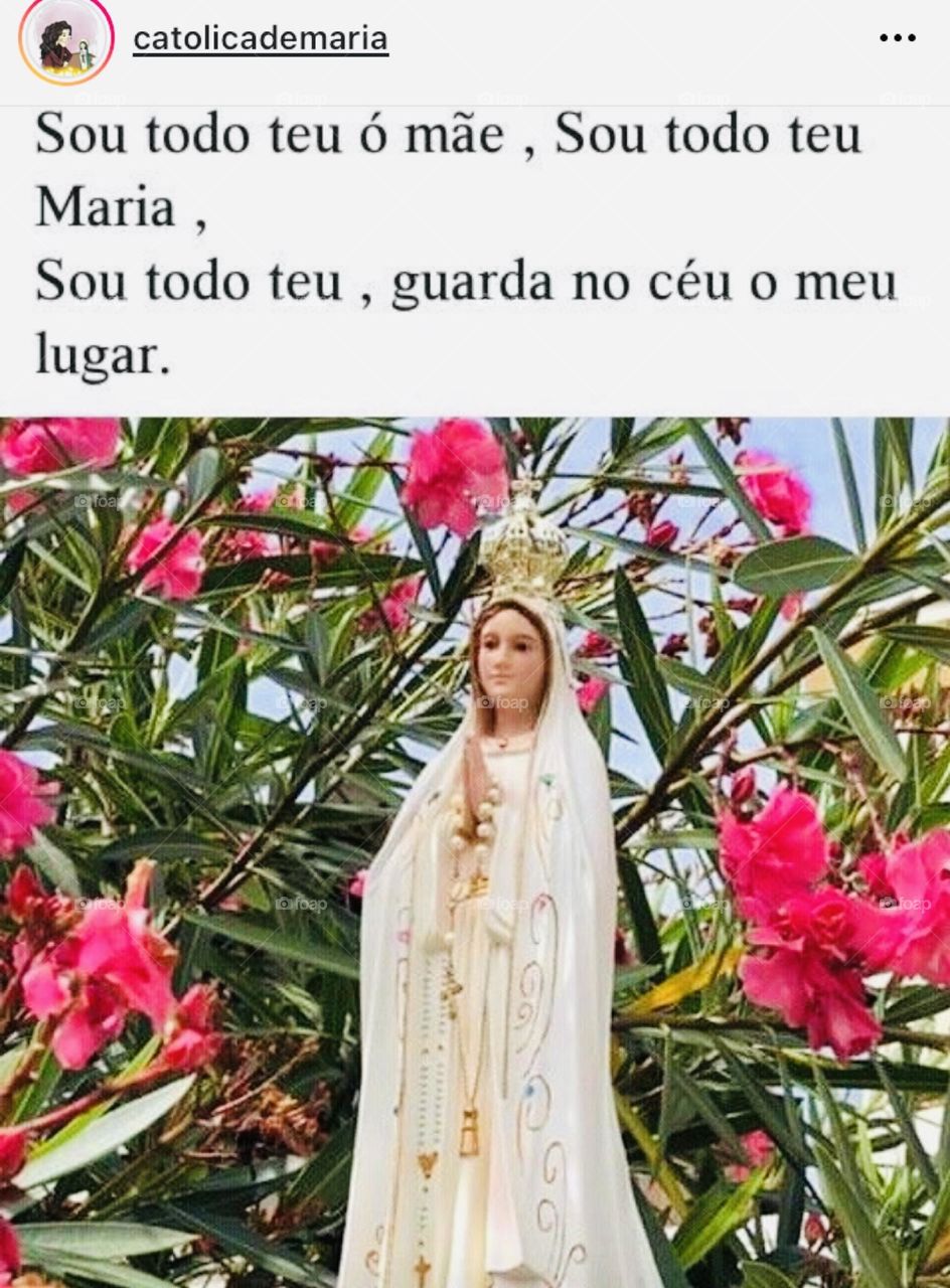 🙏 🇪🇸 Oh Maria, ruega por nosotros que recurrimos a ti.  Amén.  🇧🇷 Ó Maria, Nossa Senhora, rogai por nós que recorremos a vós. Amém. / 🇺🇸 O Mary, pray for us that we turn to you.  Amen. / 🇮🇹 O Madonna, prega per noi che ci rivolgiamo a te. Amen. 