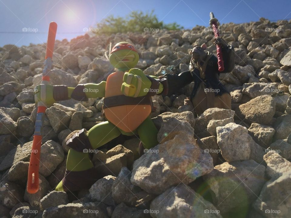 TMNT action figures in the rocks and sun