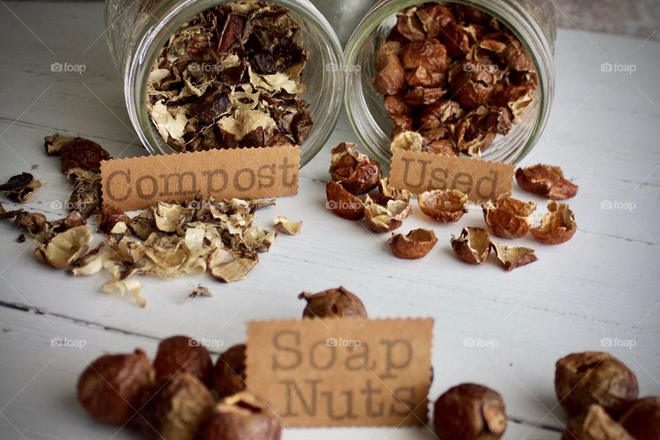 Soap nuts / soap berries in various stages