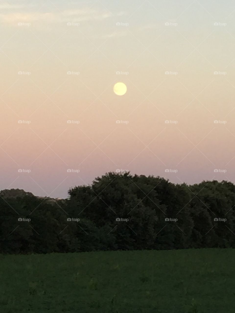 Moon Rising in a Peach Sky