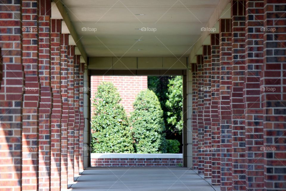 Brick Walkway