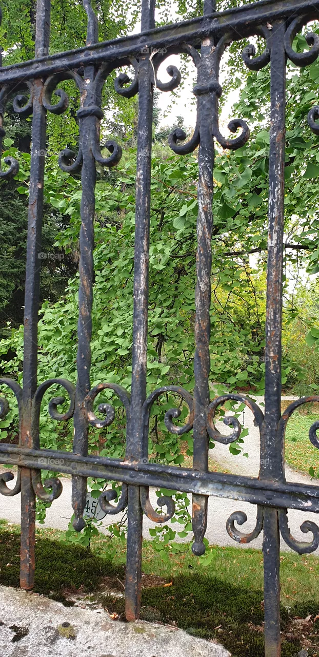 botanic garden