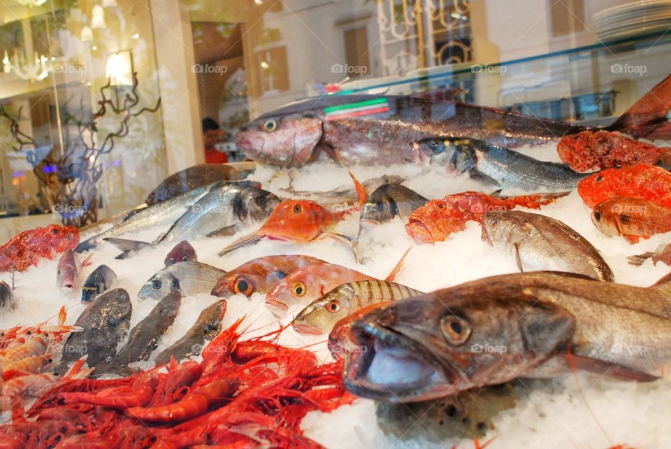 Fresh fishes. Fresh caught seafood on ice artfully displayed in a shop window 