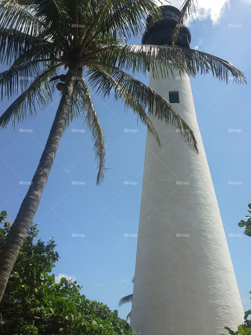 florida lighthouse2