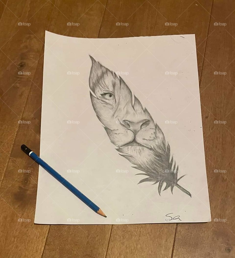 Drawing, feather, lion's head
￼