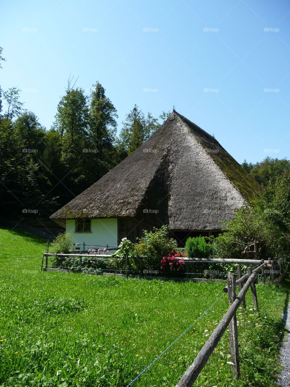 House on the grassy land