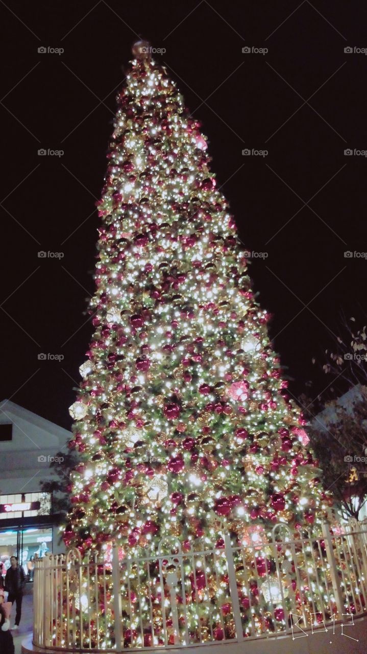 christmas memories are the sweetest 
christmas tree , the decorations , lights all around 
festival is in the air