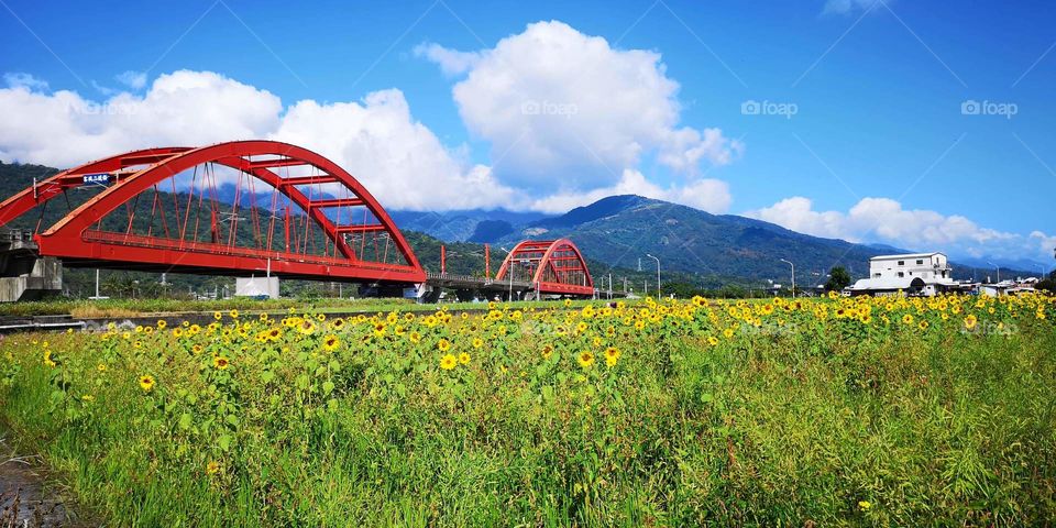 a colourful view of a train bridge