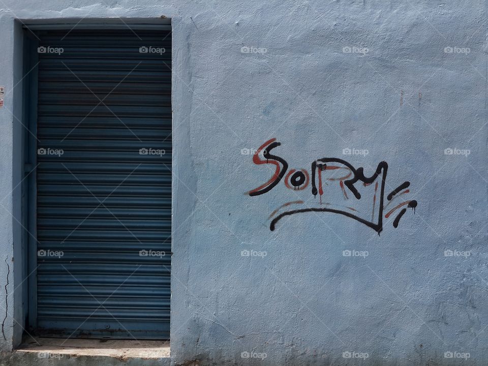 Doors with sort roller