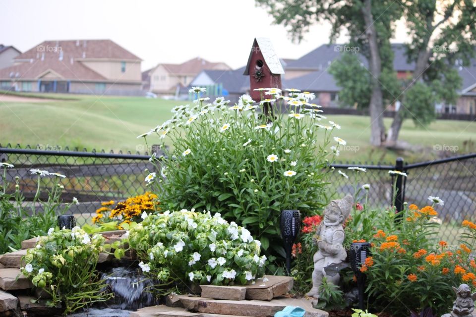 Garden Pond 