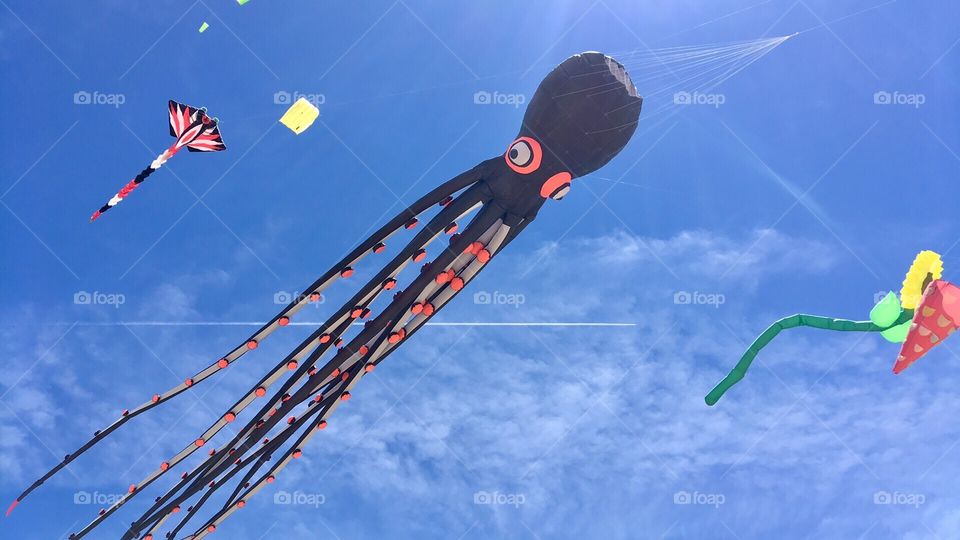 Colourful Kites in the Sky 