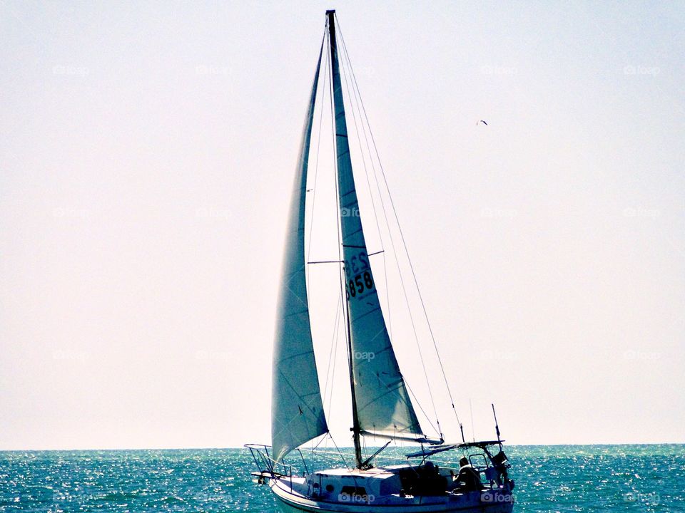 sailboat