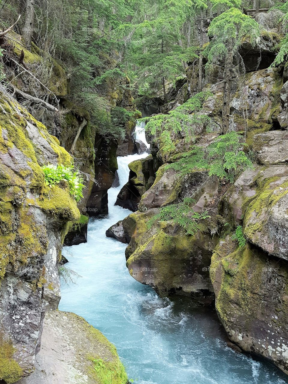 waterfalls at Glacier National Park