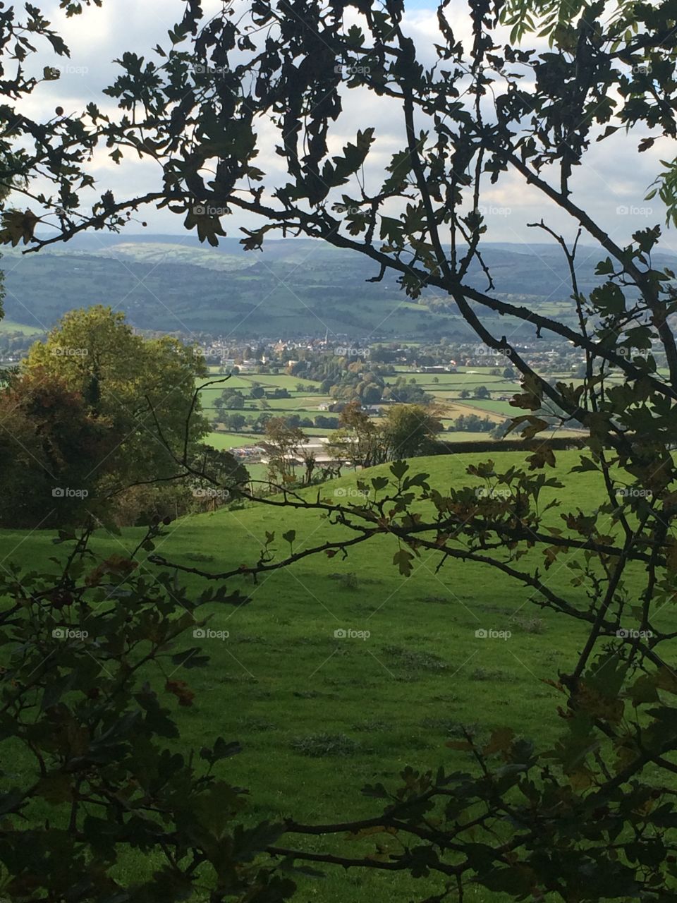 Welsh country view