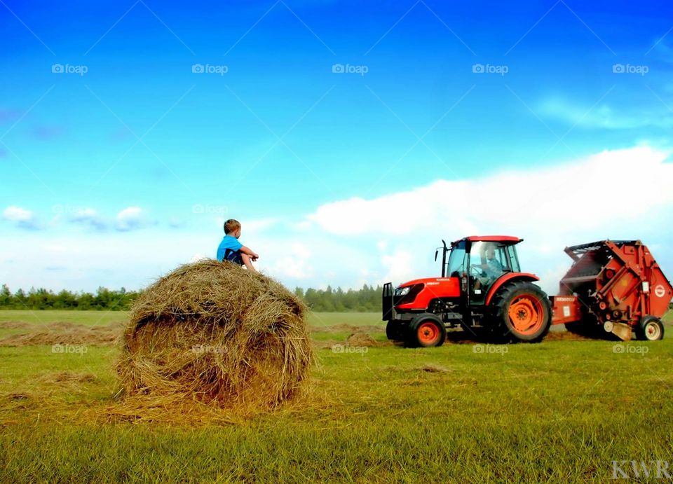 Farm, Agriculture, Tractor, Field, Straw