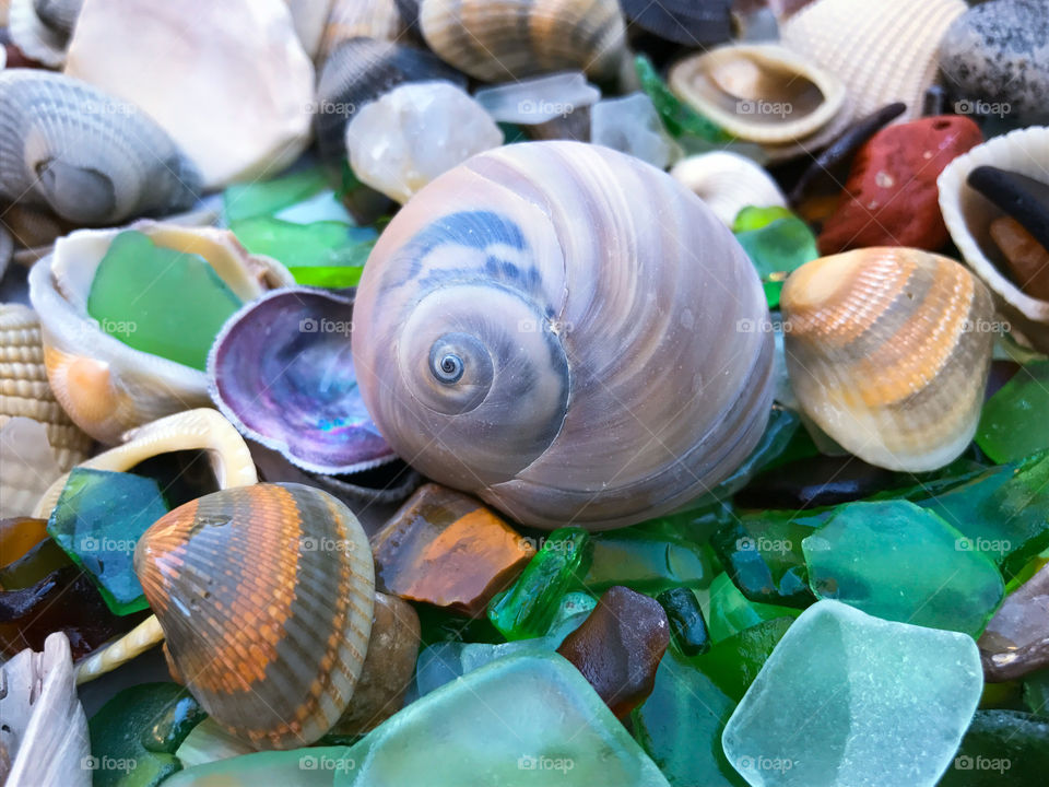 Seashells and Sea Glass 