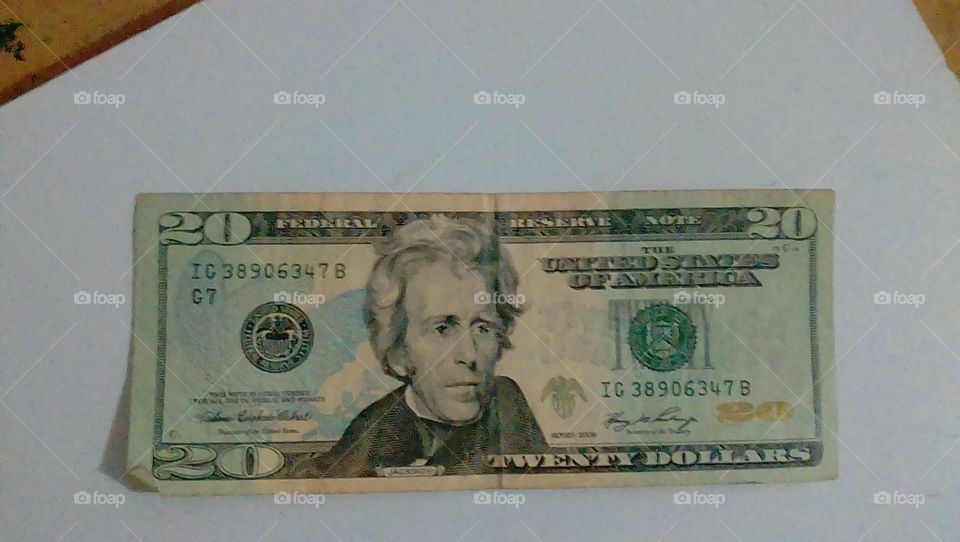 a twenty dollar bill