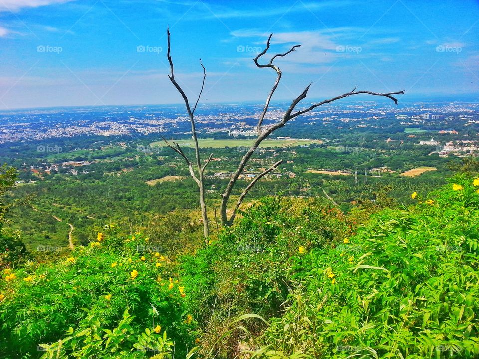 landscape of mysooru. landscape