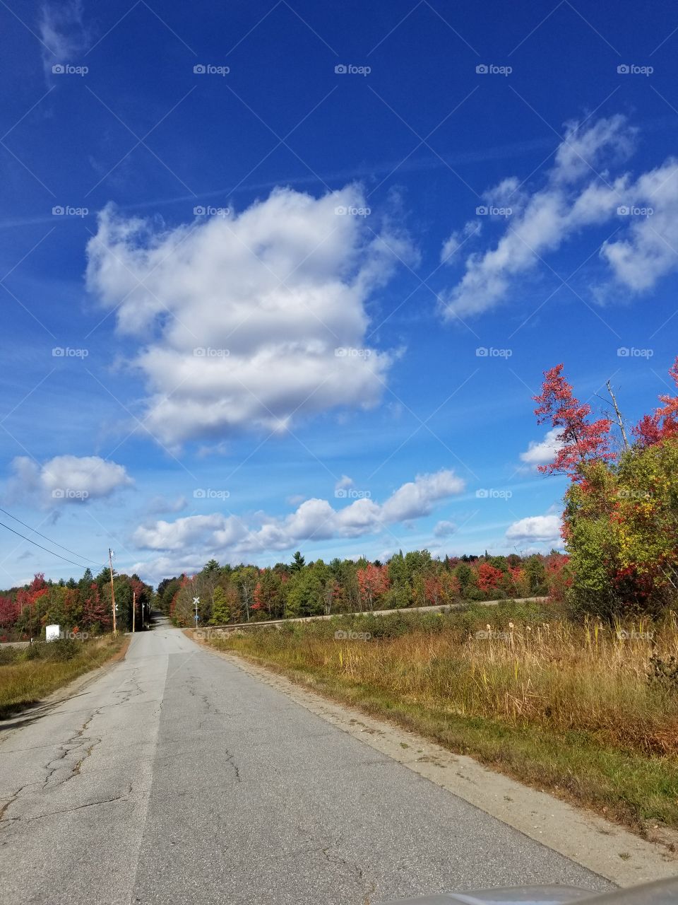 Maine's wonderful fall