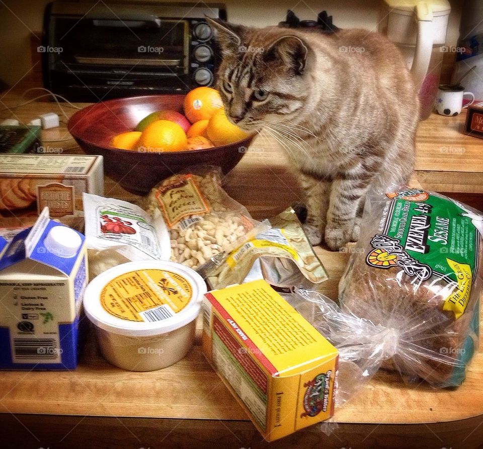 Help me! I can't do all by myself!