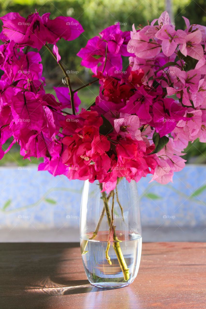 A bouquet of pink and purple Bougainvillea flowers on the table in a glass vase.  Beautiful home decor