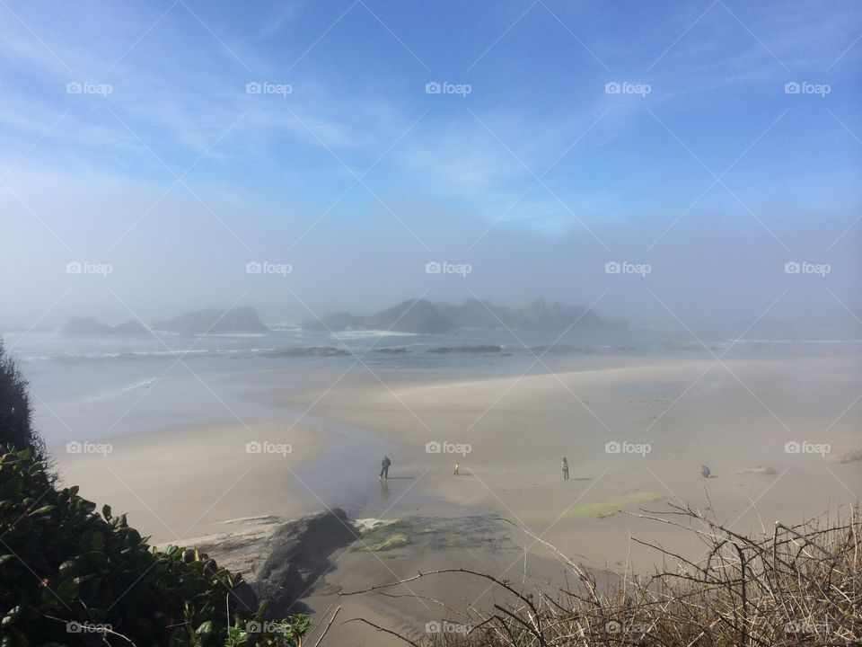 Water, Landscape, Fog, Travel, No Person