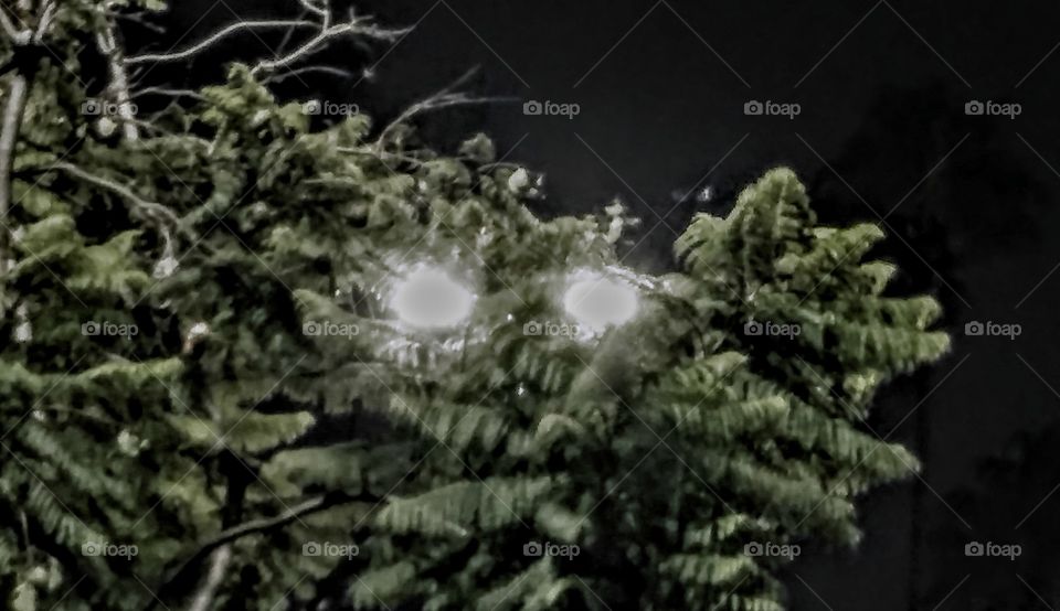 is it a 30 foot tall creature with glowing eyes peering through the trees?
...........or just parking lot lights in an edited photo?