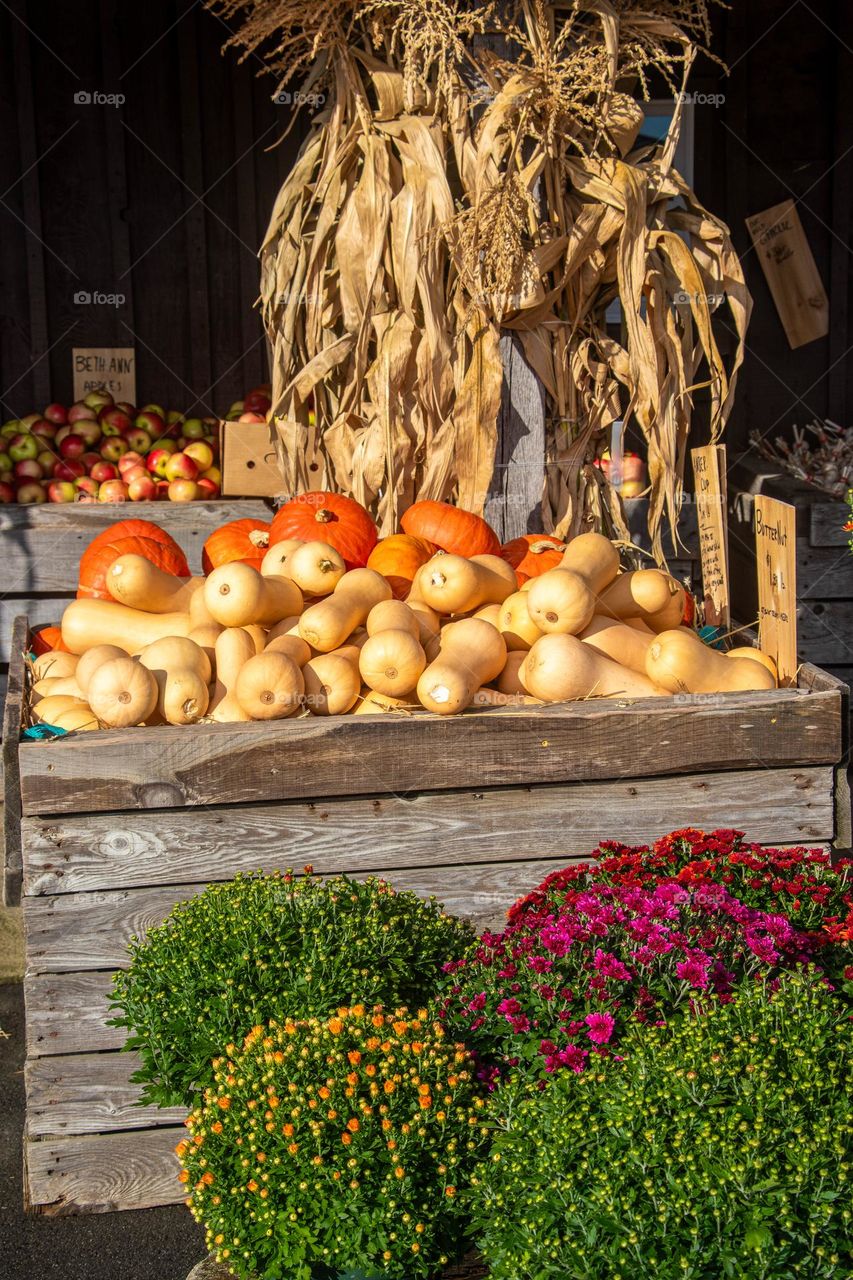 A farm stand selling fresh vegetables and fall flowers like mums is a sure sign of Autumn.