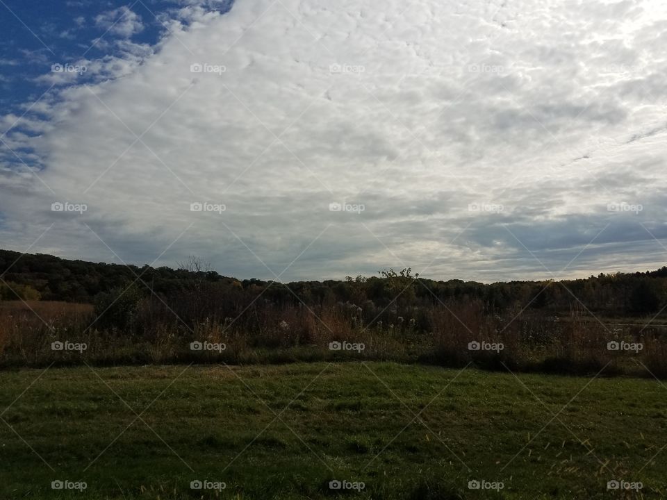 Landscape, No Person, Sky, Grass, Tree