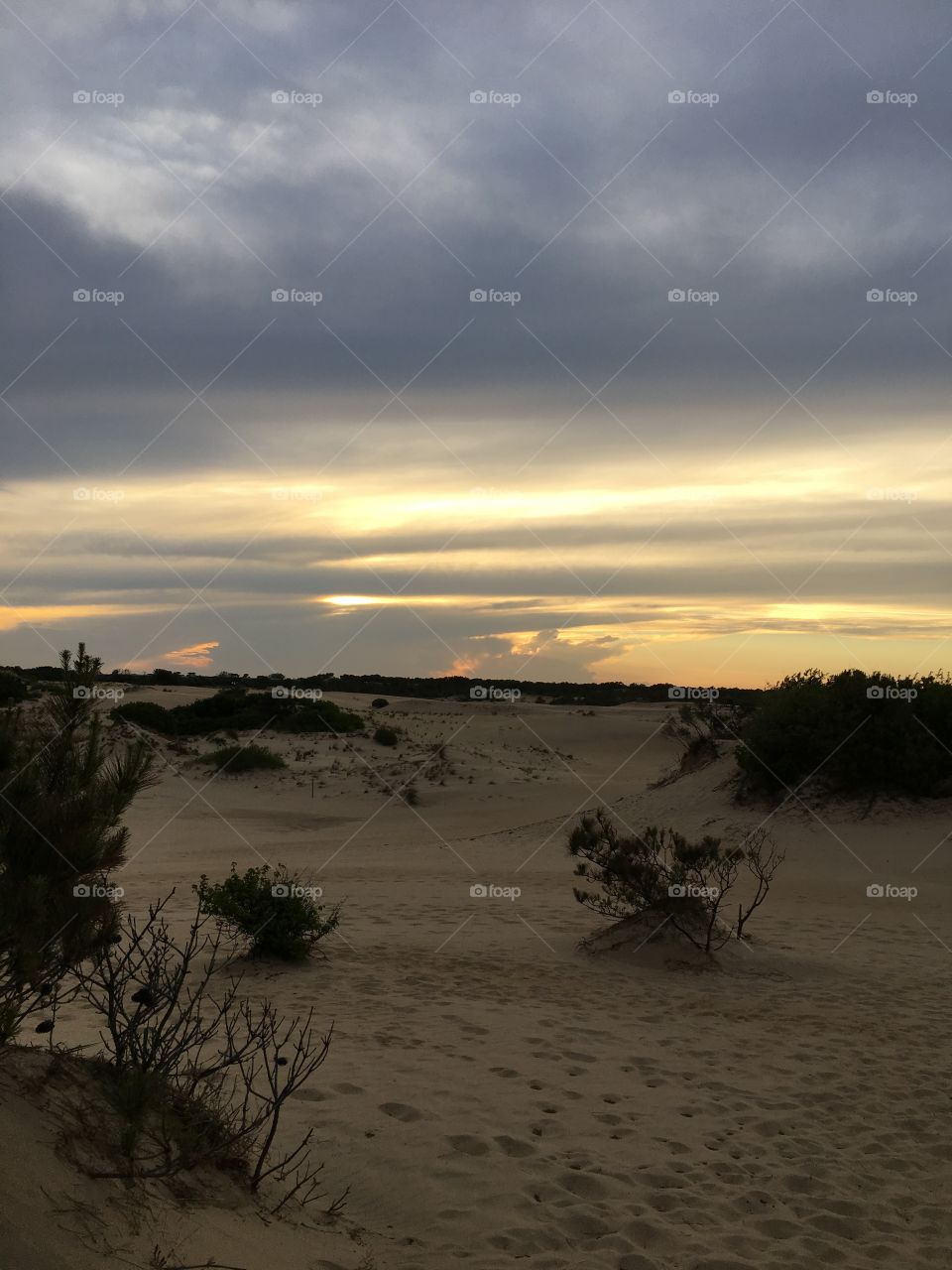 Sunset on sand dunes