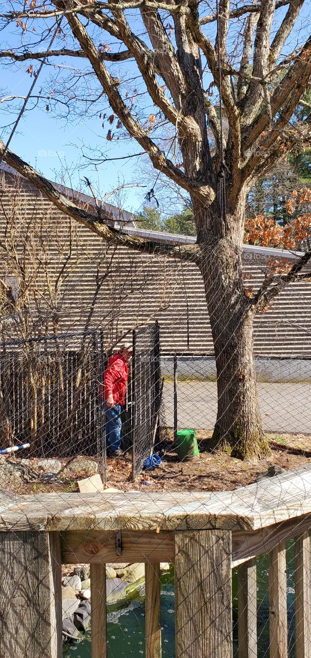 Chain link fence being dismantled. Tools used to take old privacy slats out of  old fence.