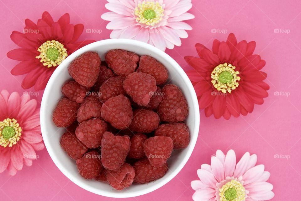 Color Love - raspberries and gerbera daisies in various shades of pink in a pink background