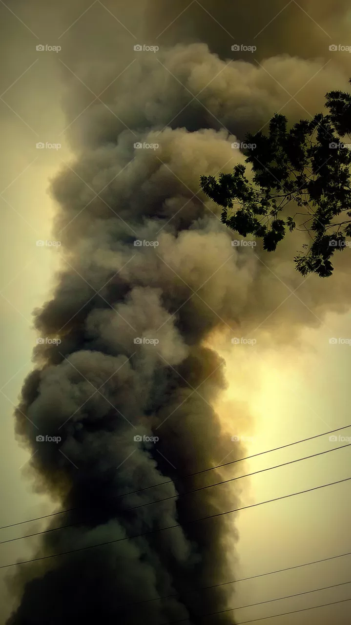 smoke