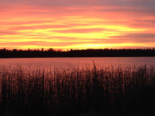 The sun sets beyond the forest. Lovely sunset at Lake Söraby, Småland, Sweden