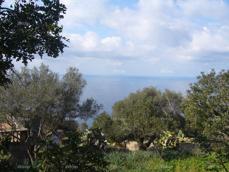 Mallorca sea view