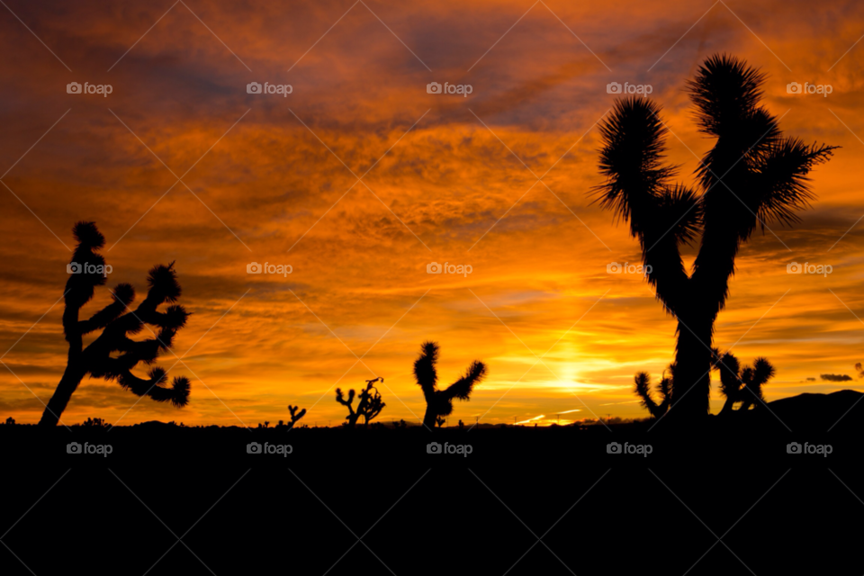 landscape nature colors clouds by kingrum