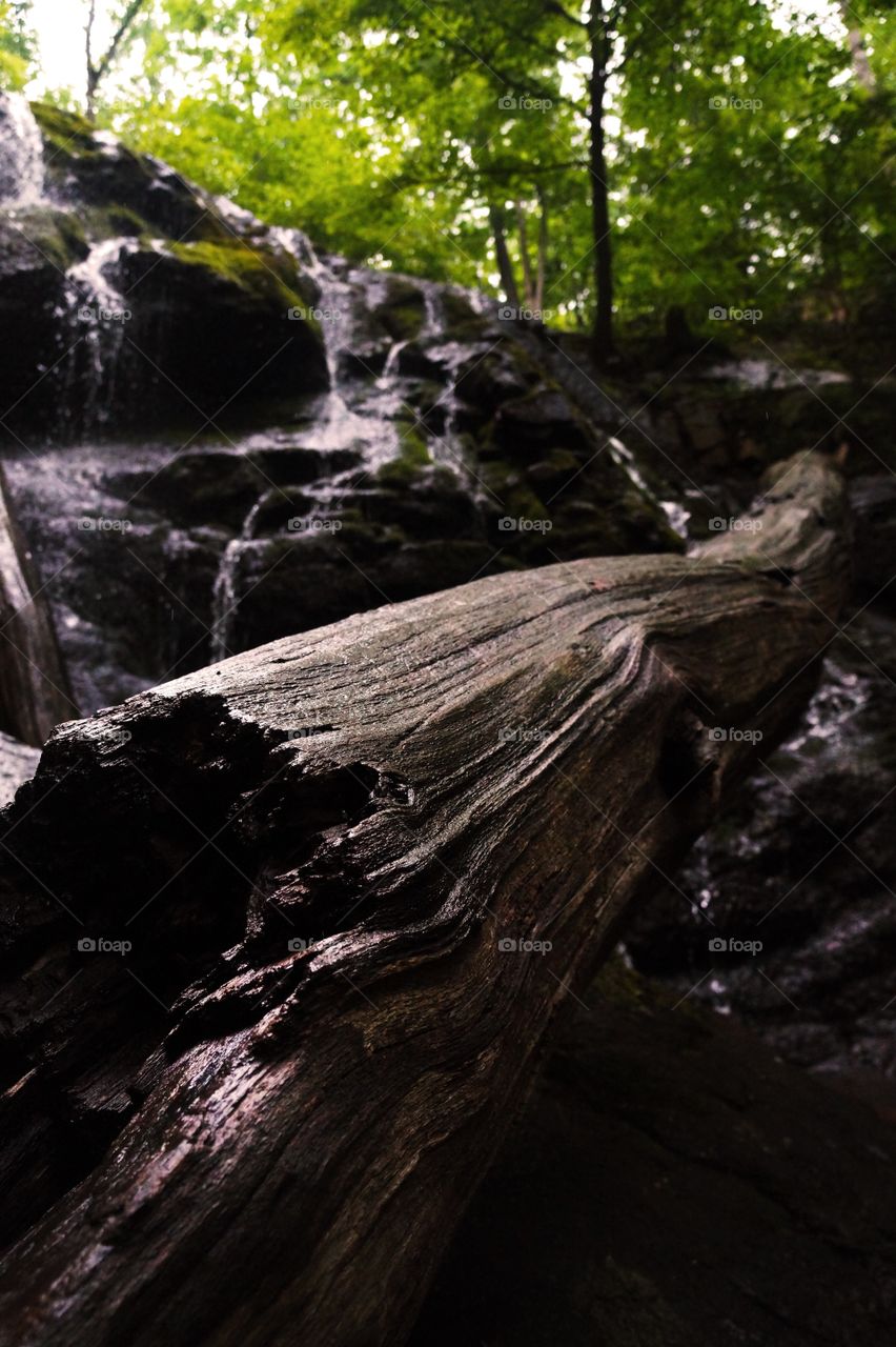 when hiking in summer I came across this waterfall with a fallen log 