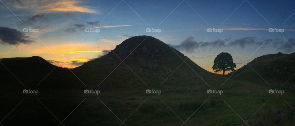 Sycamore Gap on Hadrian’s Wall 