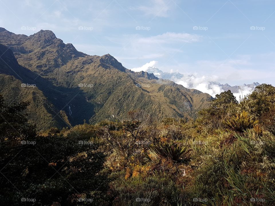 Andes trecking